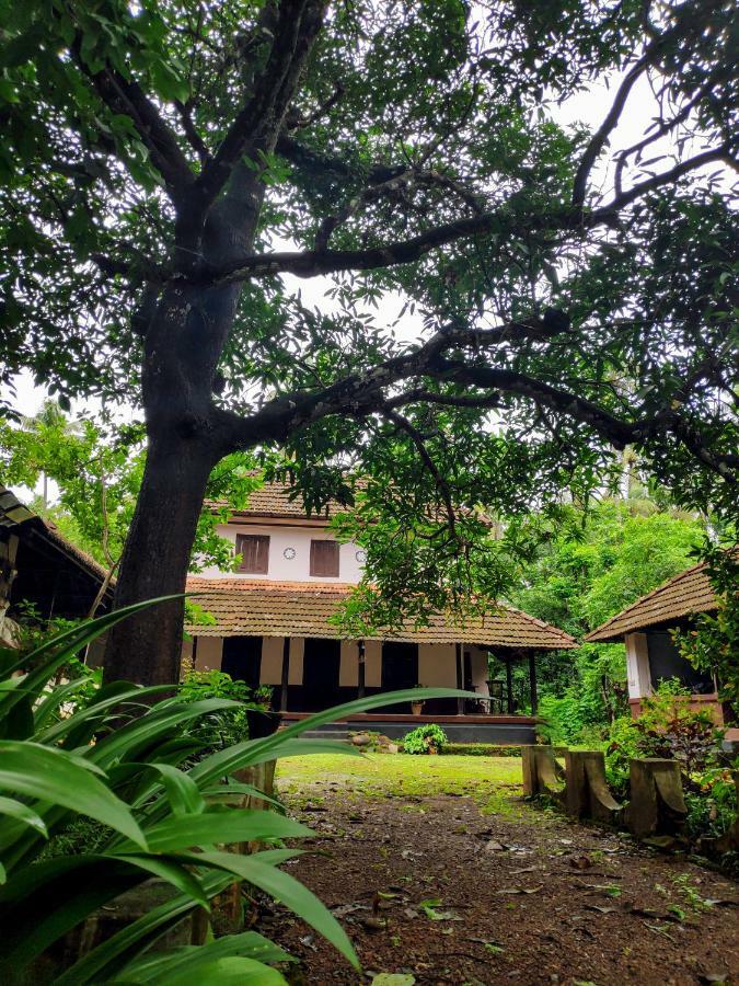 Meadows Villa Thrissur Kültér fotó